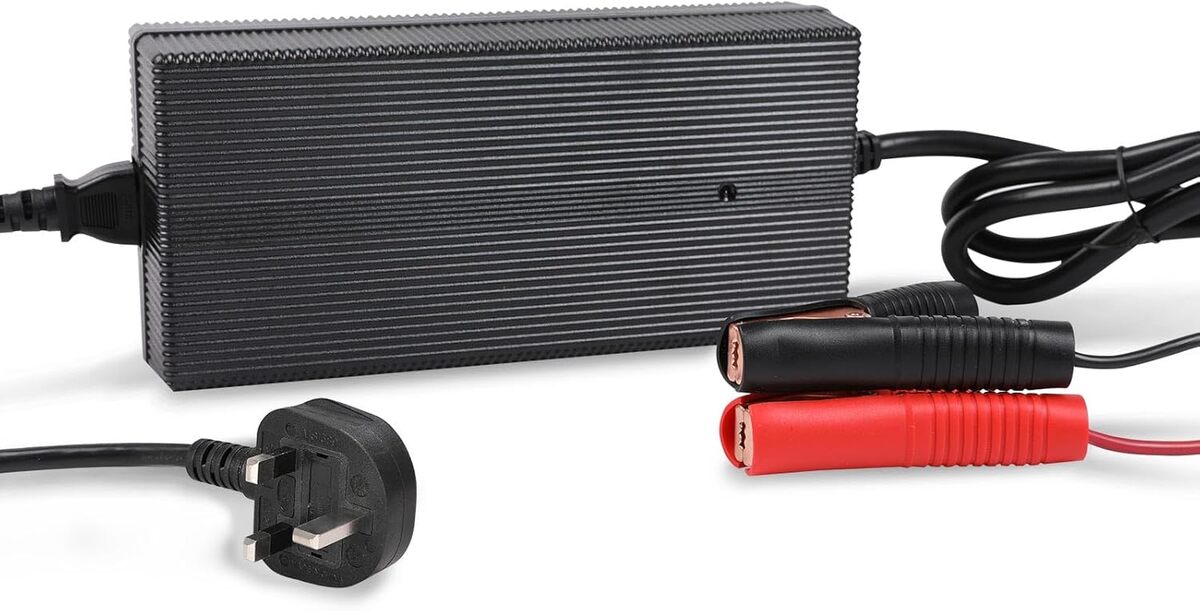 Test du chargeur intelligent Renogy LiFePO4 20 A : performance et polyvalence